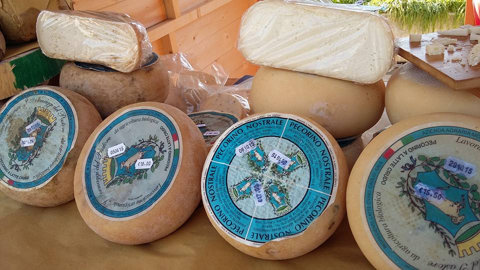 I formaggi del pastore