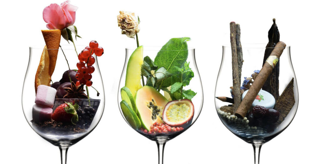 aromi del vino