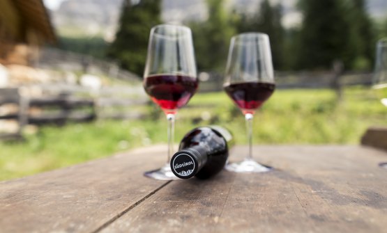 i vini dell'alto adige