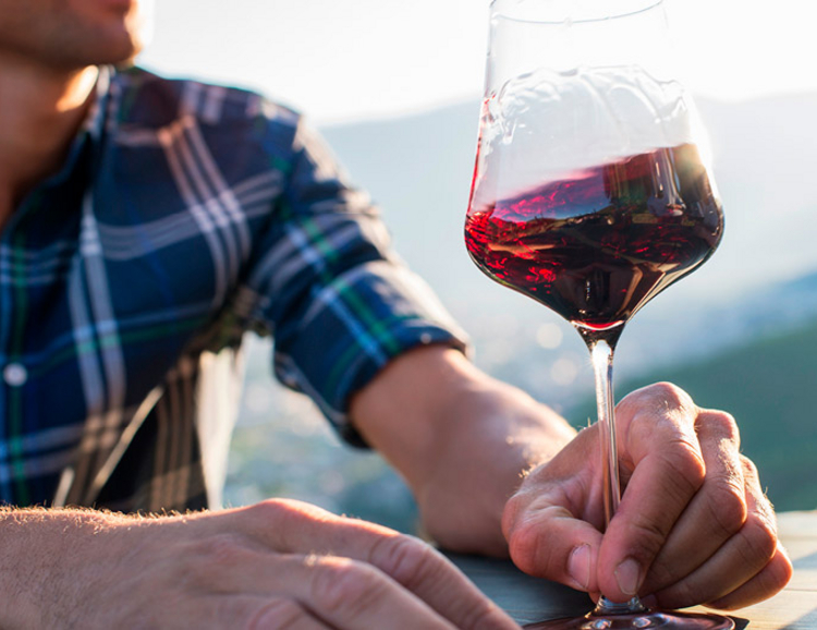 vini dell'alto adige