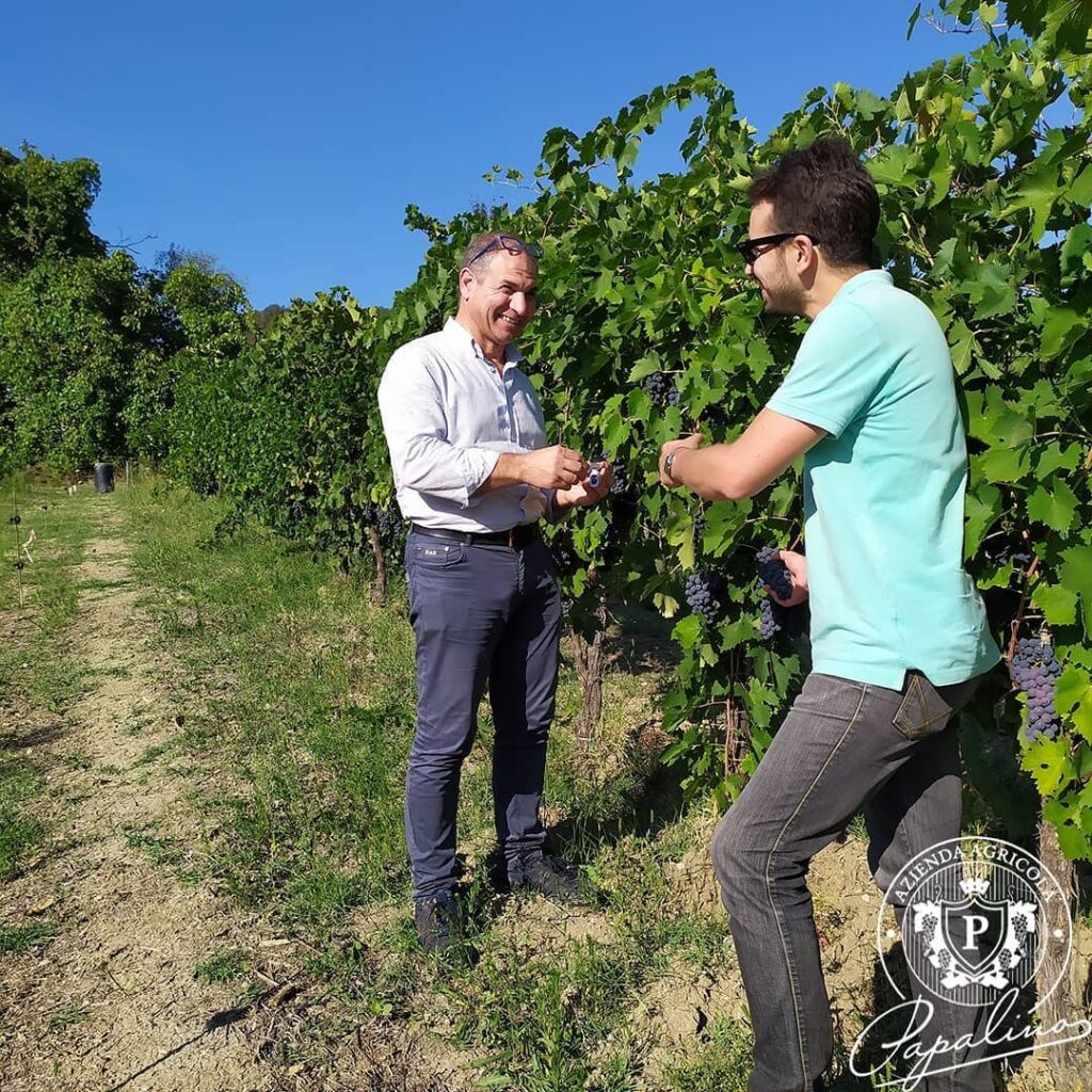 azienda agricola papalino