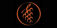logo tampieri marco